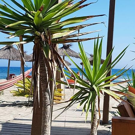 Beau Studio A 1 Minute De La Plage Canet-en-Roussillon Eksteriør bilde