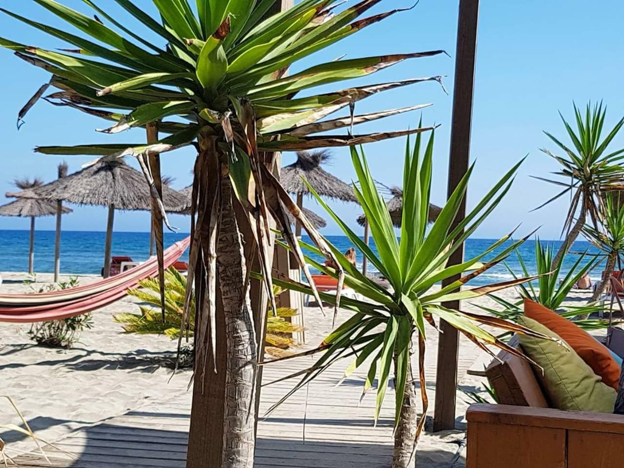 Beau Studio A 1 Minute De La Plage Canet-en-Roussillon Eksteriør bilde