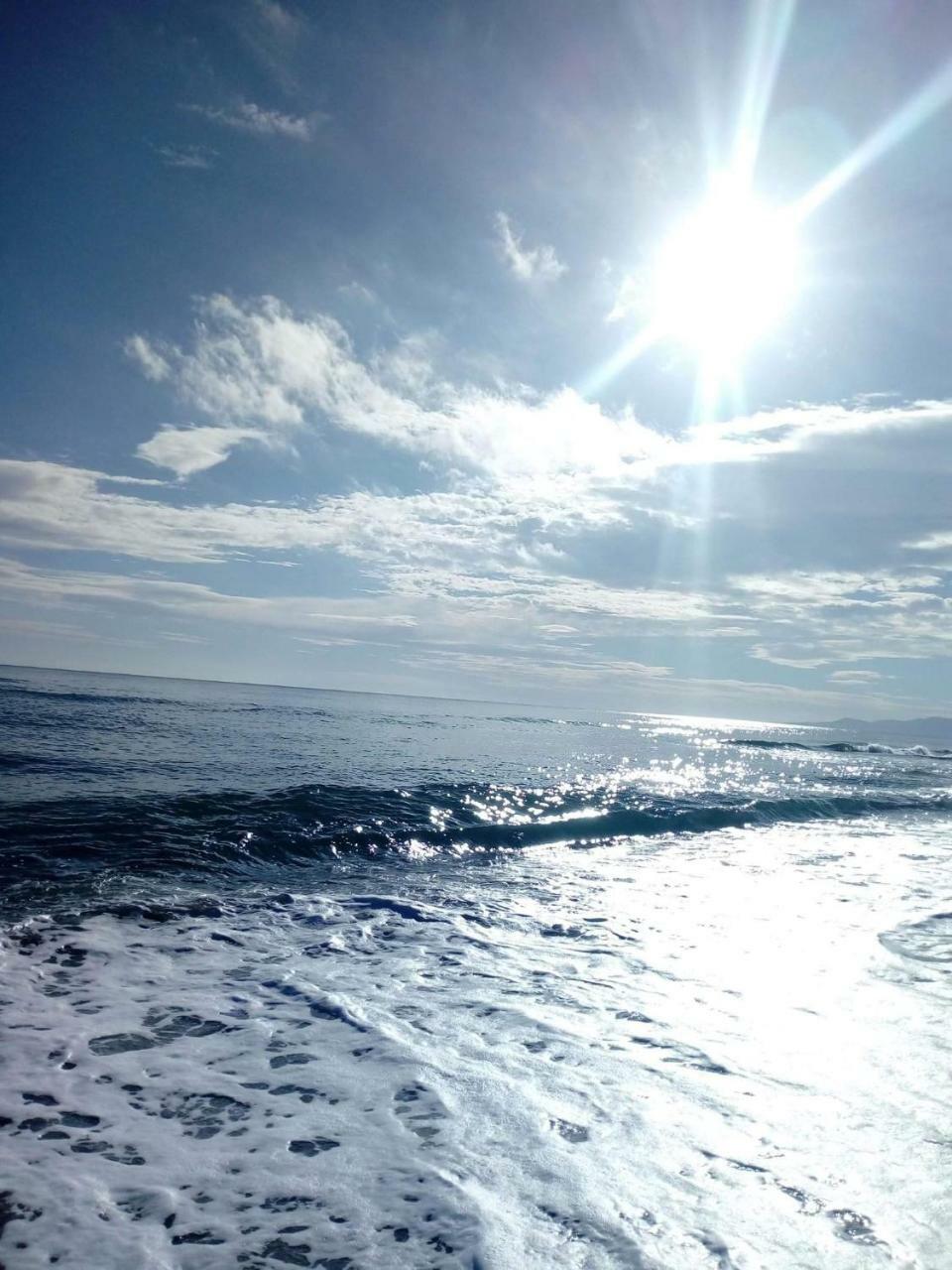 Beau Studio A 1 Minute De La Plage Canet-en-Roussillon Eksteriør bilde